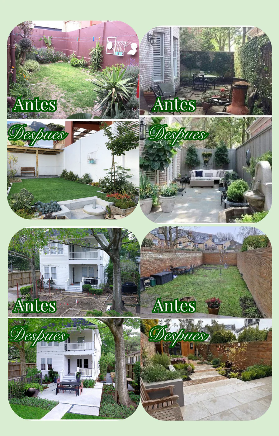Transformación de jardín